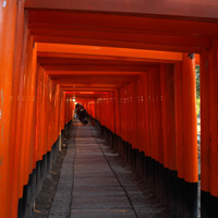 京都の神社巡り