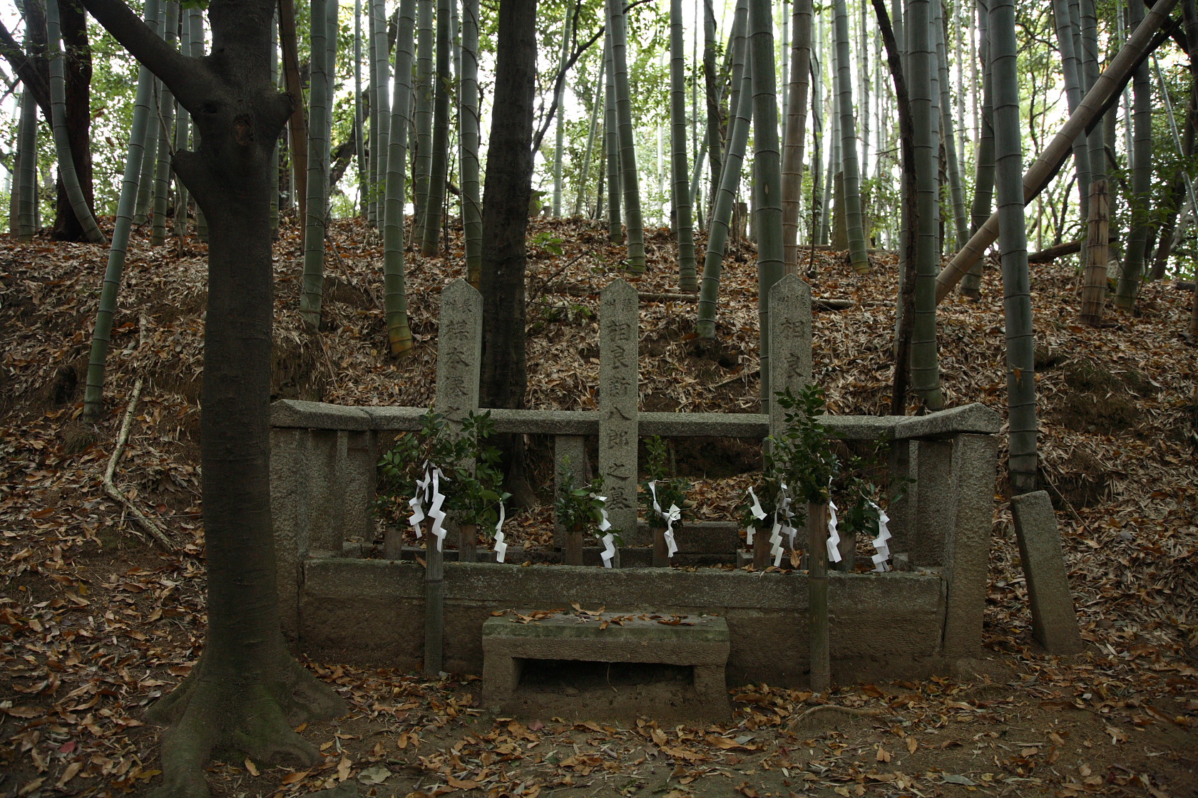維新殉難志士墓: 徘徊の記憶