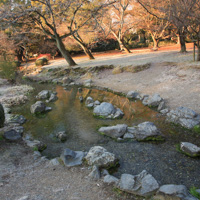 京都御苑　出水の小川　その２