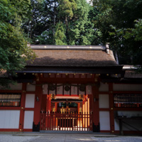 京都の神社巡り　その６
